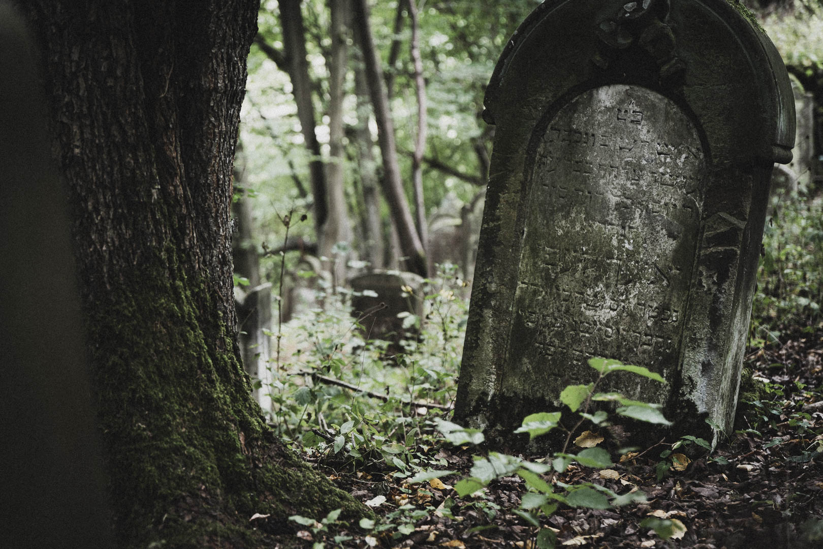 Nentershausen (Hessen), Jüdischer Friedhof